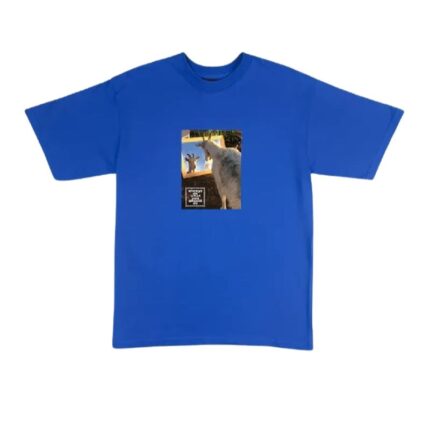 Adwysd Believe T Shirt Royal Blue front