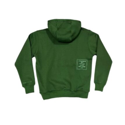 Adwysd Green Sun embroidered hoodie back