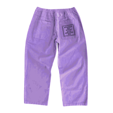 Adwysd Relaxed Brushed Skate Plum Pant (1)