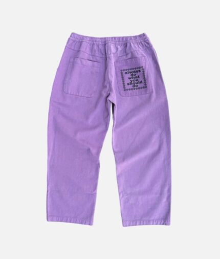 Adwysd Relaxed Brushed Skate Plum Pant 1 680x800