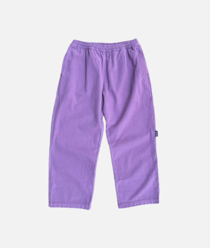 Adwysd Relaxed Brushed Skate Plum Pant
